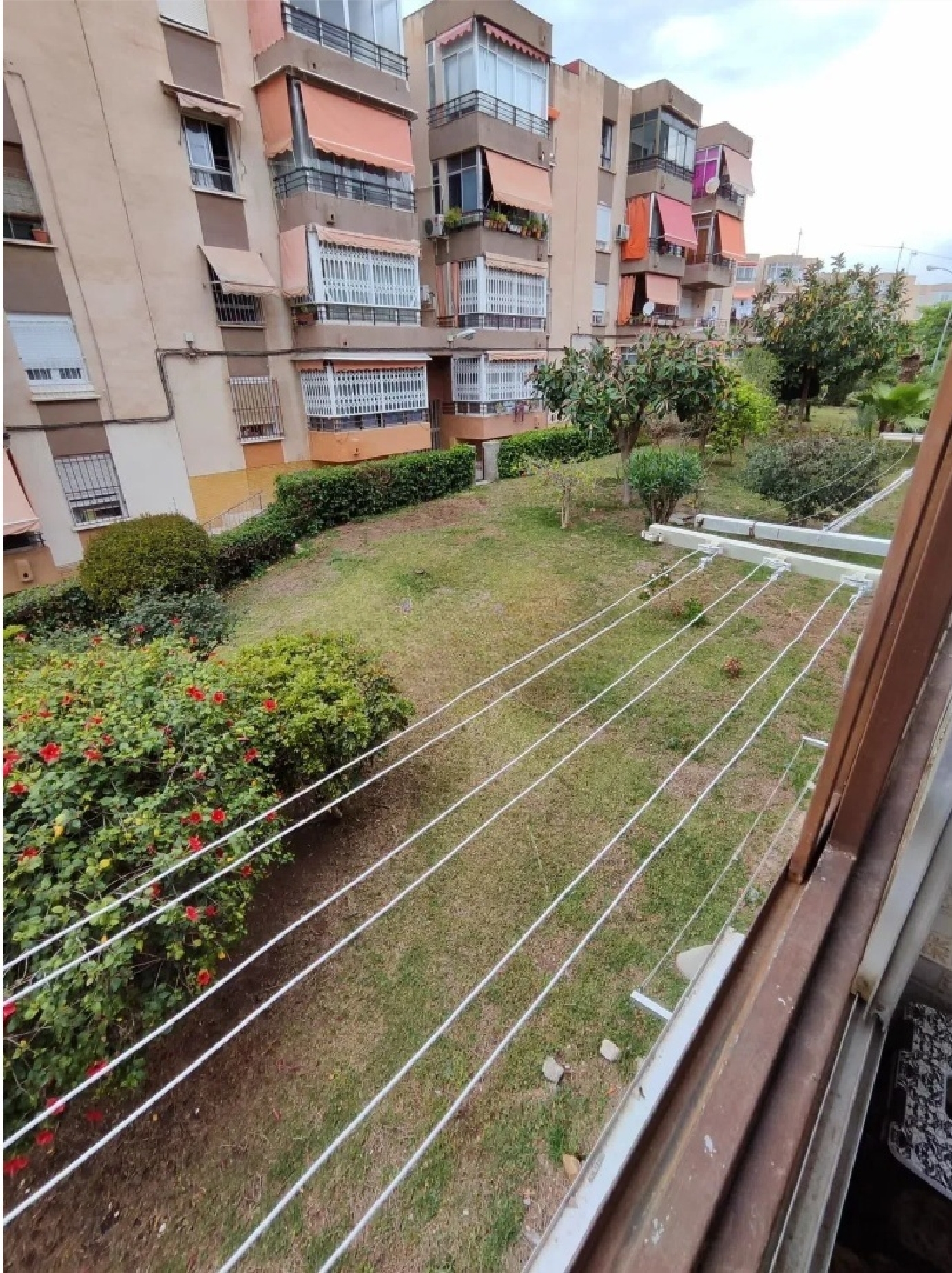  en venta apartamento La Romana Vinalopó Mitjà 2