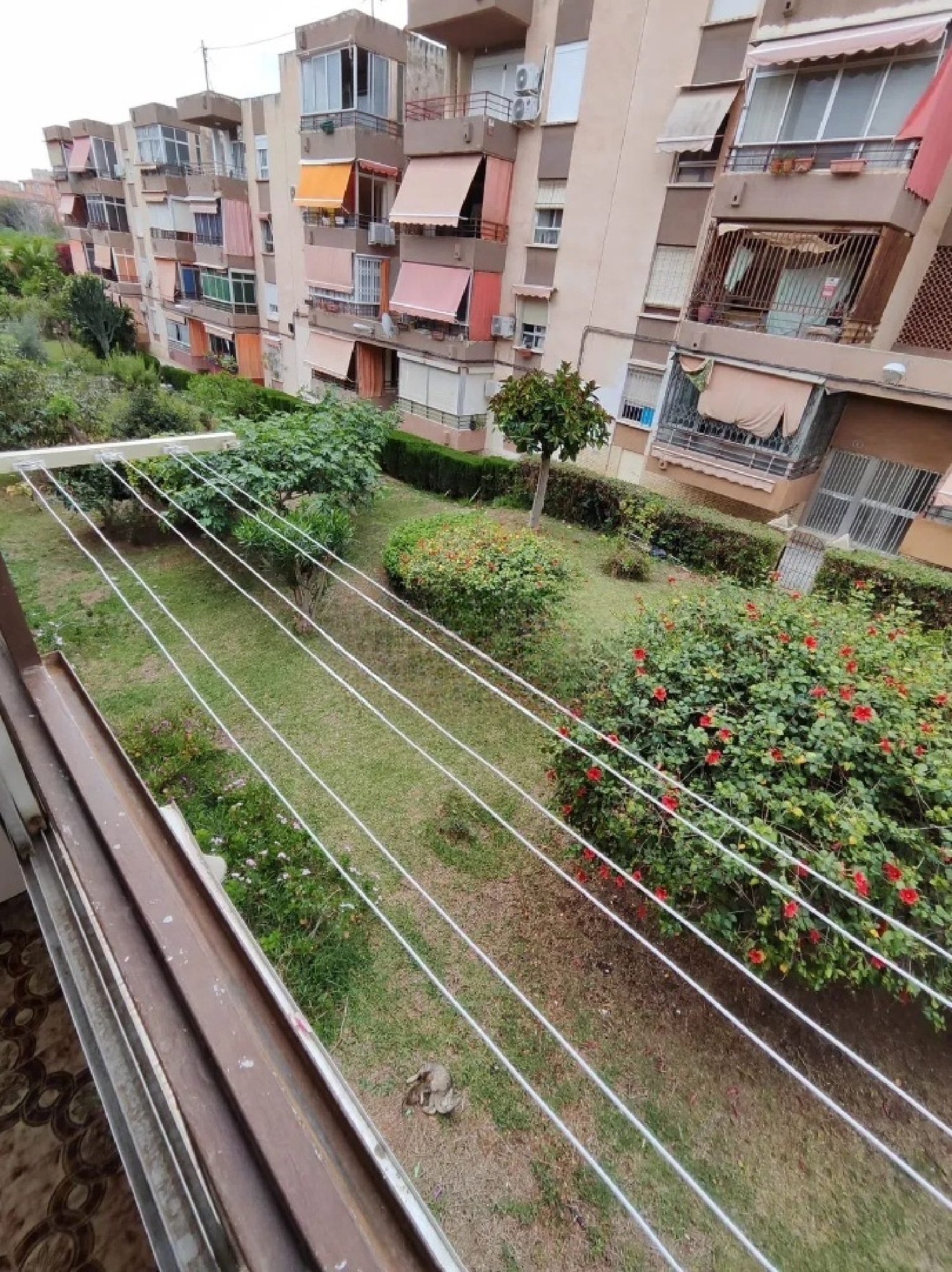  en venta apartamento La Romana Vinalopó Mitjà 1