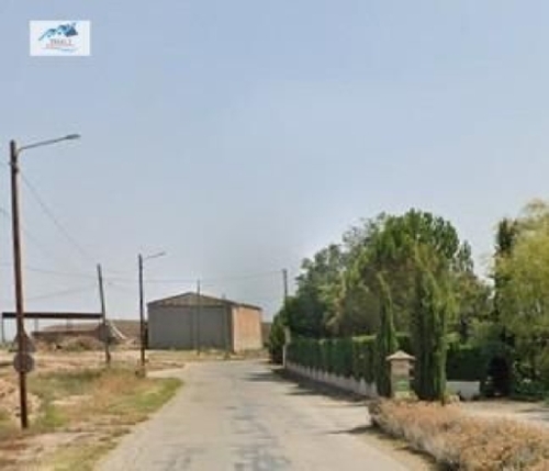 Linyola Pla D''urgell lägenhet foto 6323385