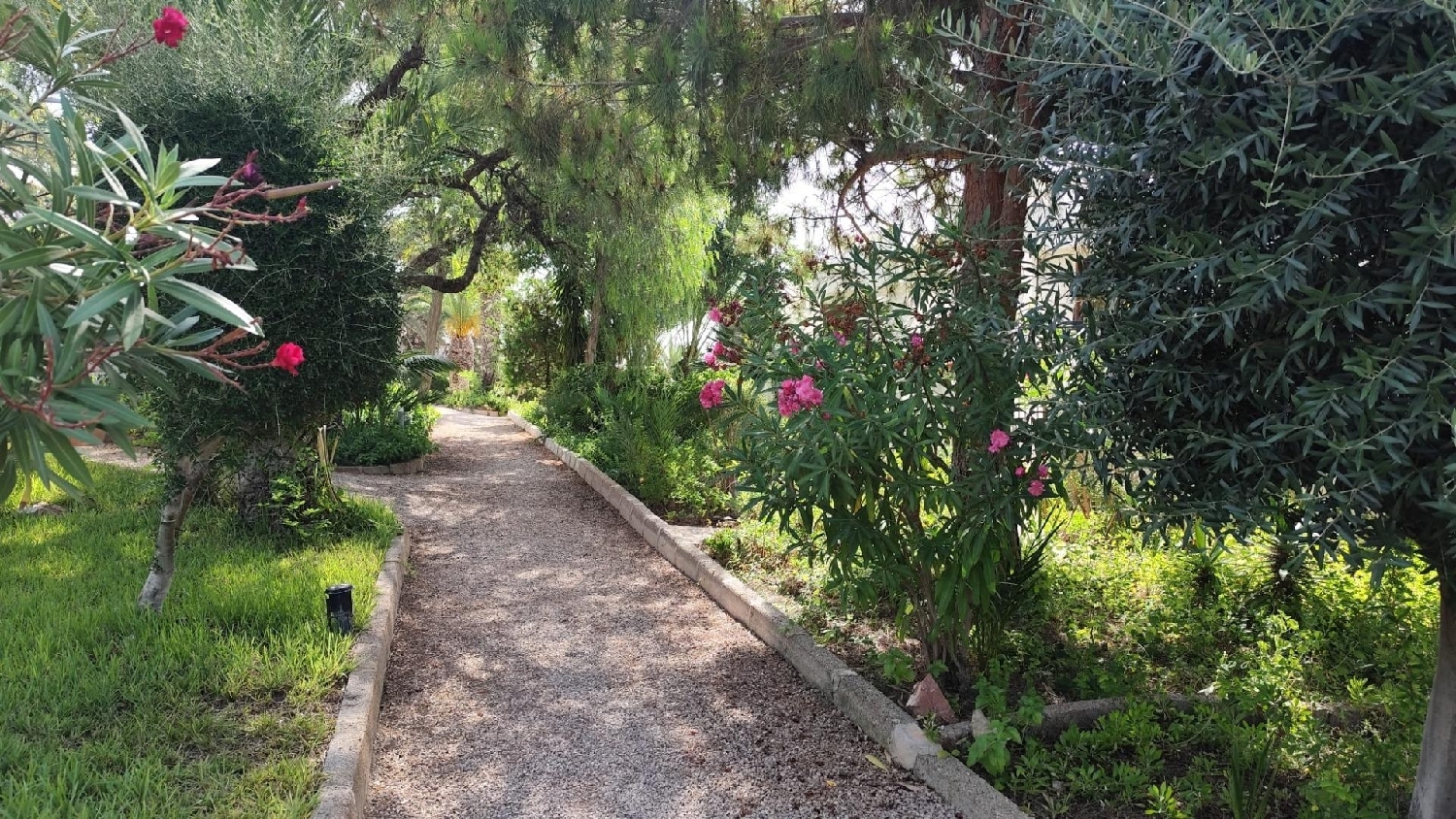 for sale apartment Lo Cartagena Baix Segura 2