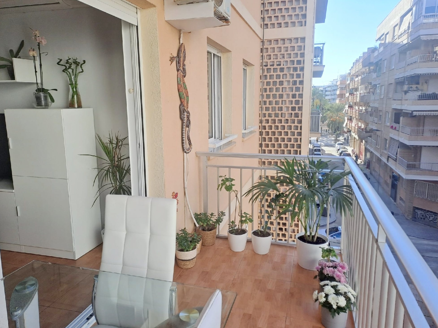 kaufen Wohnung Torrevieja Baix Segura 1