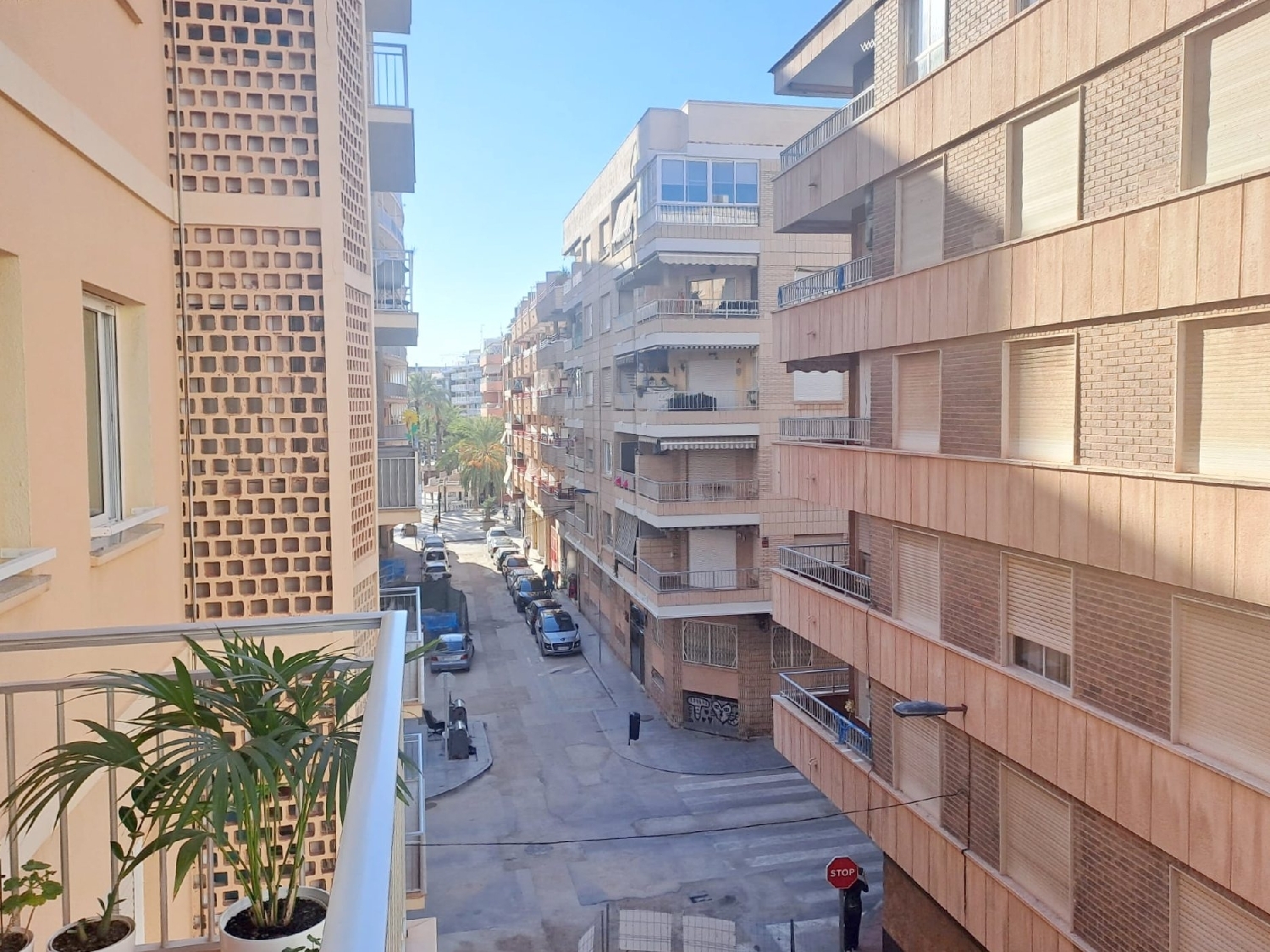 kaufen Wohnung Torrevieja Baix Segura 2