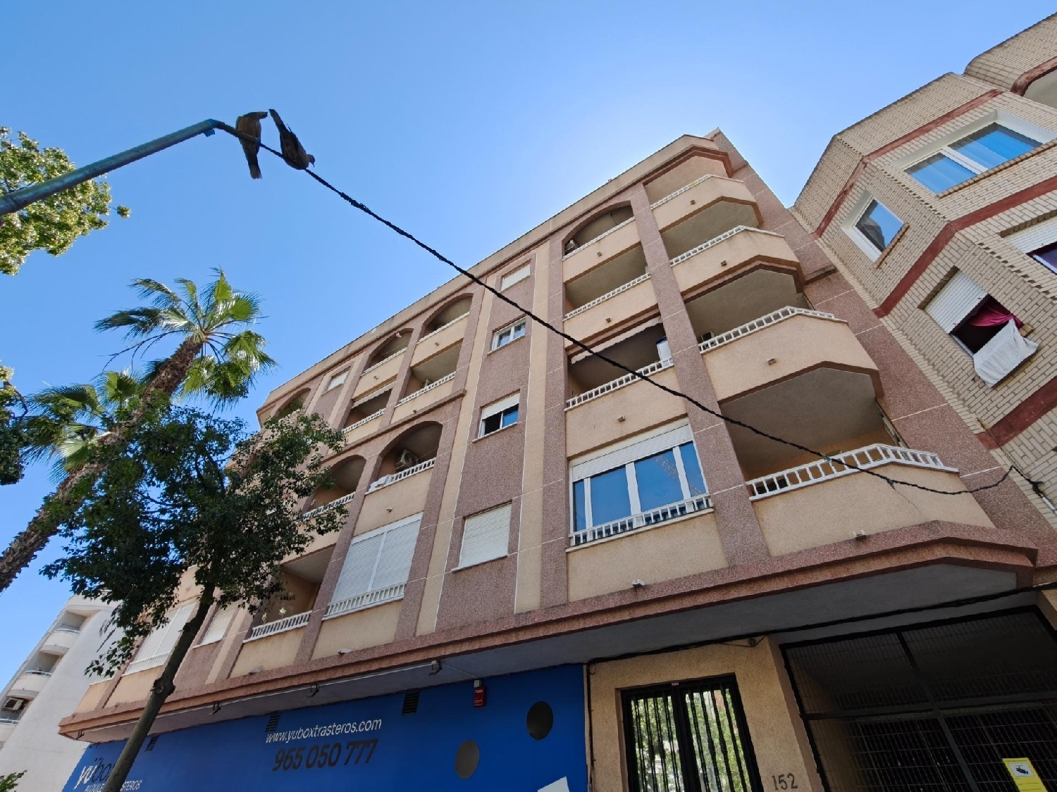 te koop appartement Torrevieja Baix Segura 1