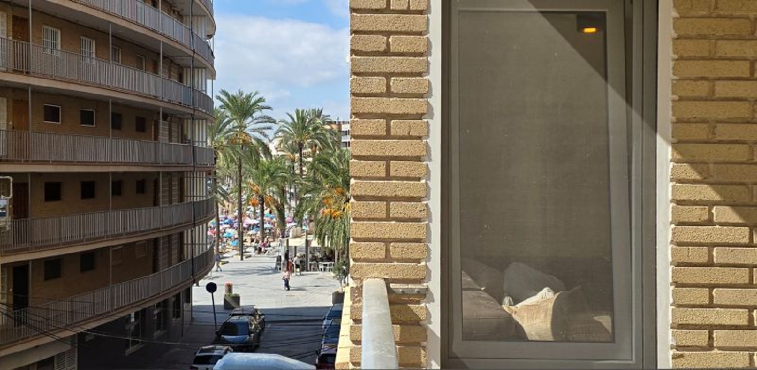  te koop appartement Torrevieja Baix Segura 8