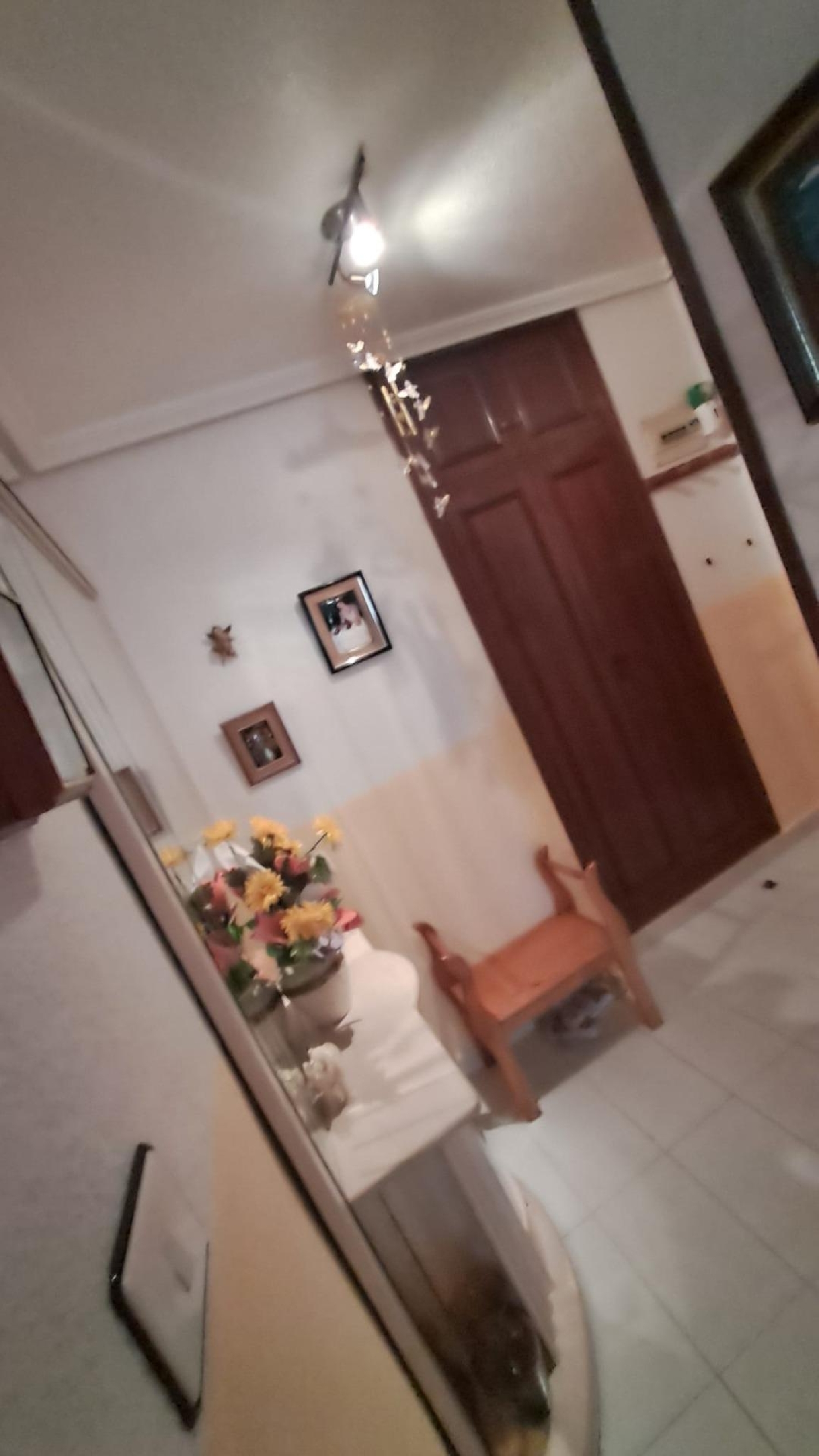  for sale apartment Torrevieja Baix Segura 29