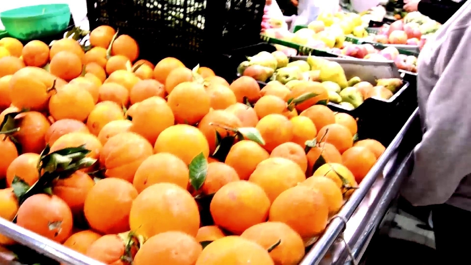  à vendre appartement Torrevieja Baix Segura 25