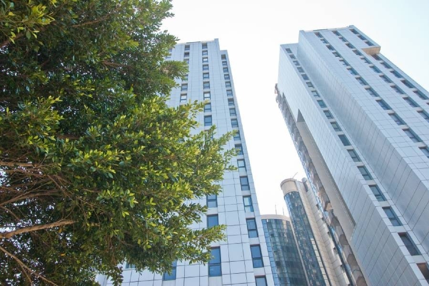  à vendre appartement Valencia De Las Torres Campiña Sur 2