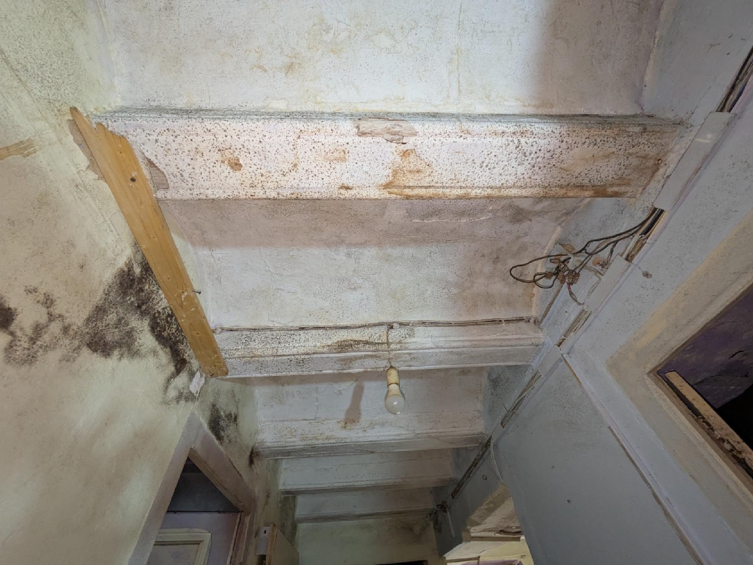 te koop gebouw Amposta Montsià 8