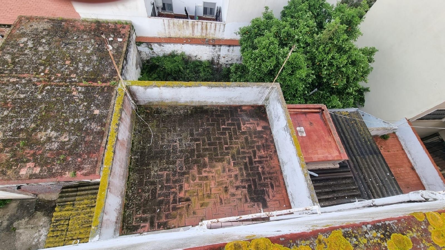 till salu byggnad La Linea De La Concepcion Campo De Gibraltar 7