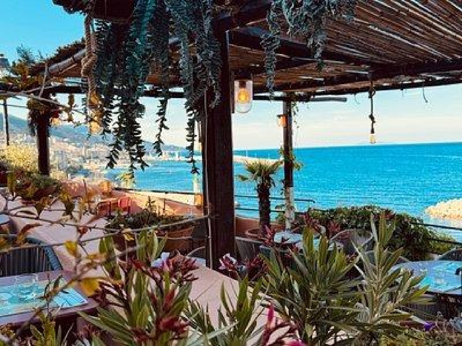 till salu kommersiell Adeje Zona Sur 7