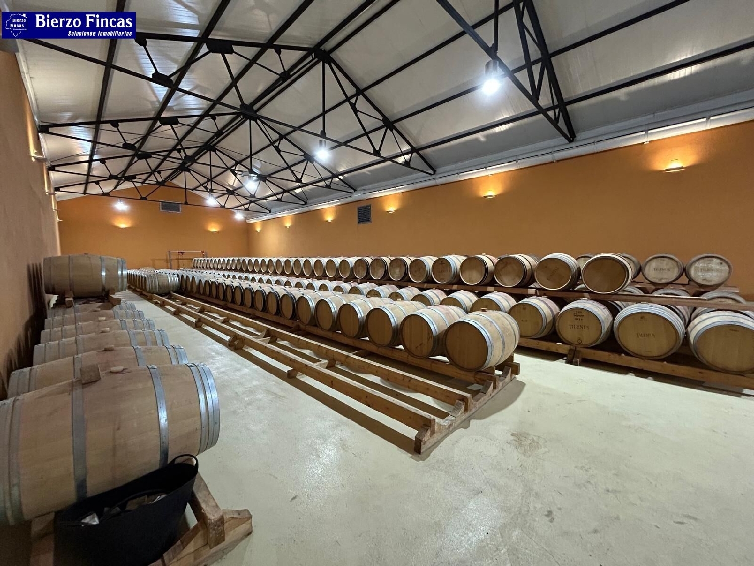  te koop bedrijfsruimte/ kantoor Dehesas Bierzo (El) 2