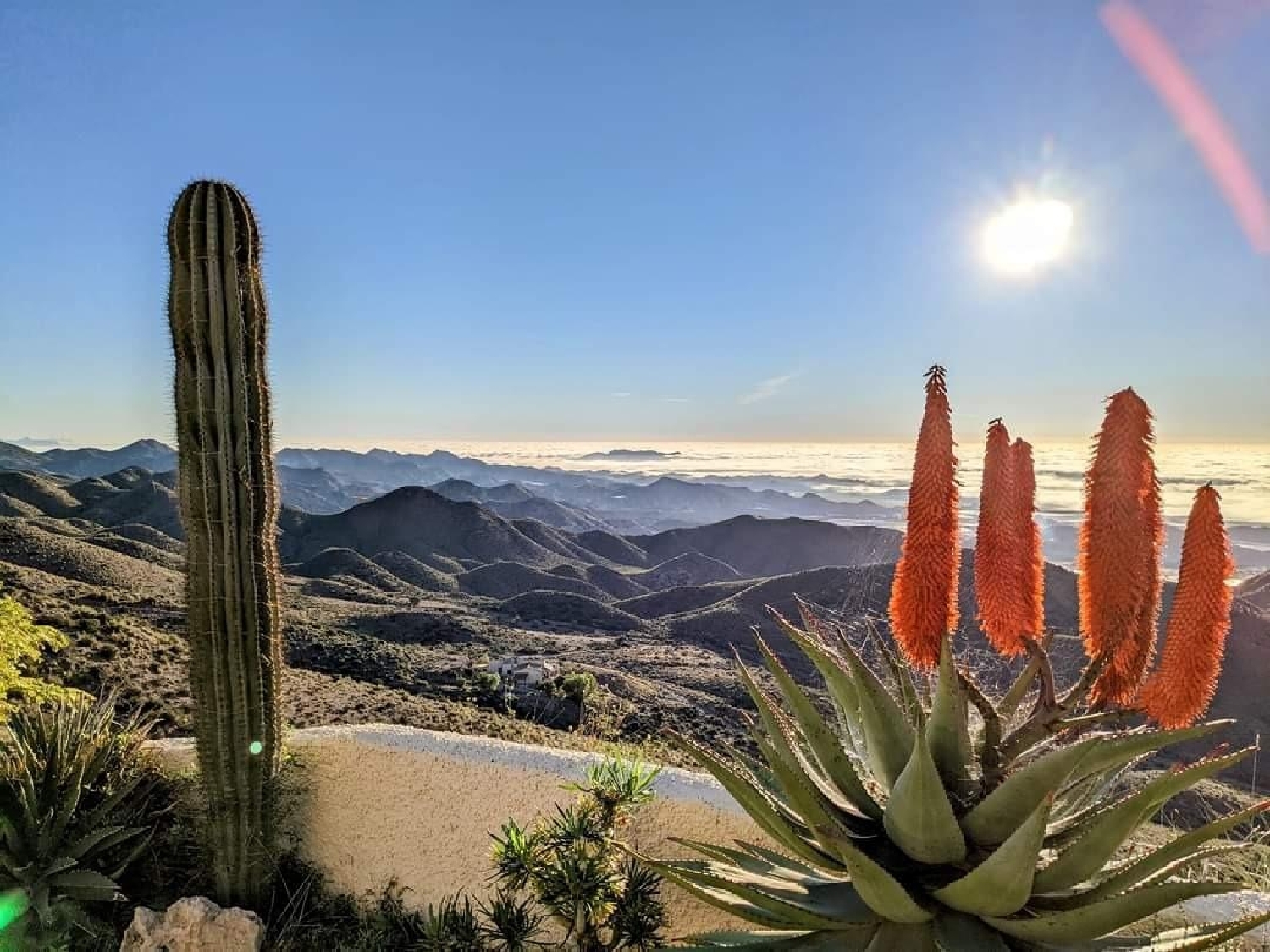 till salu hus på landet Águilas Alto Guadalentín 2