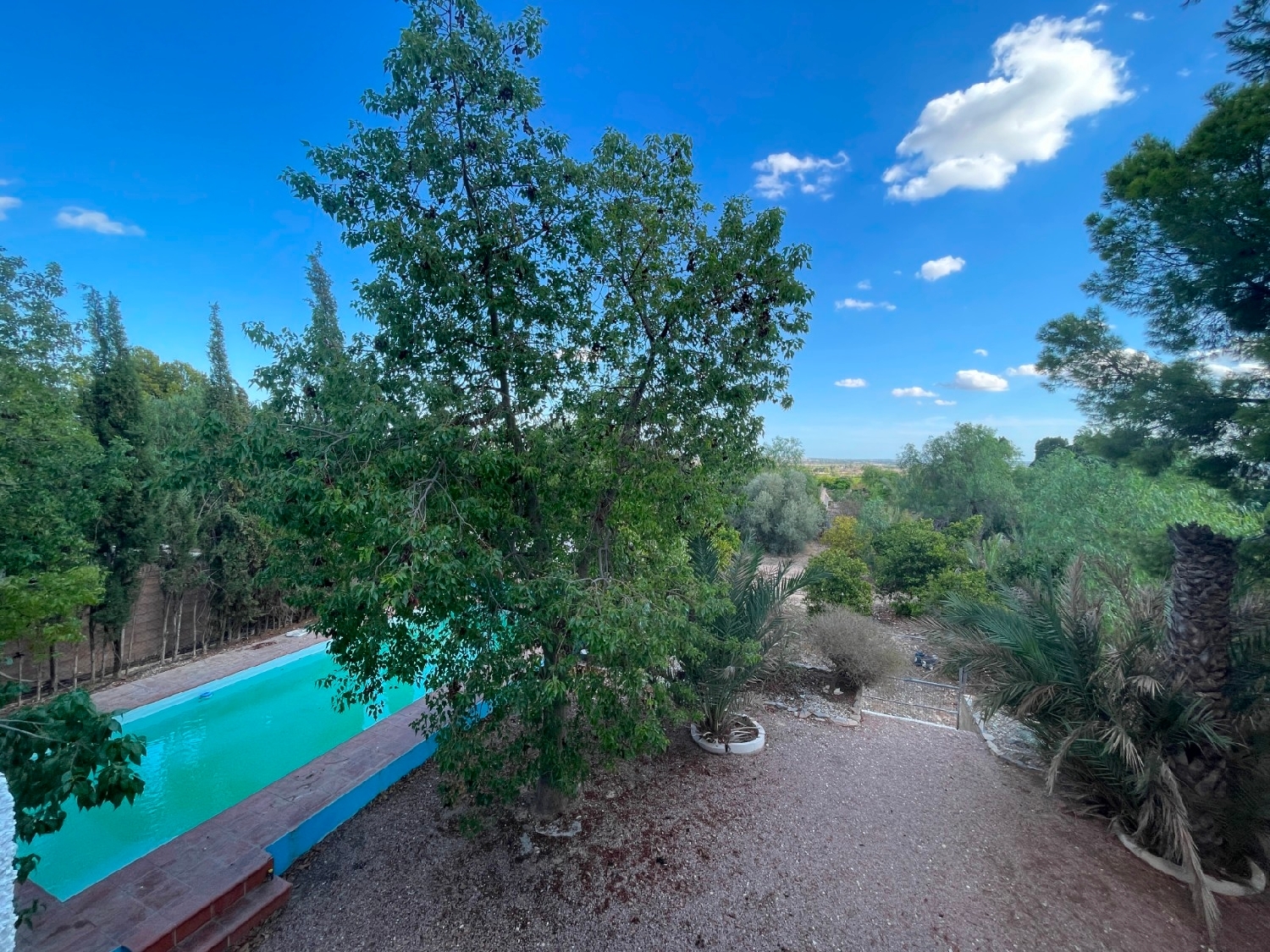 till salu hus på landet Albatera Baix Segura 2