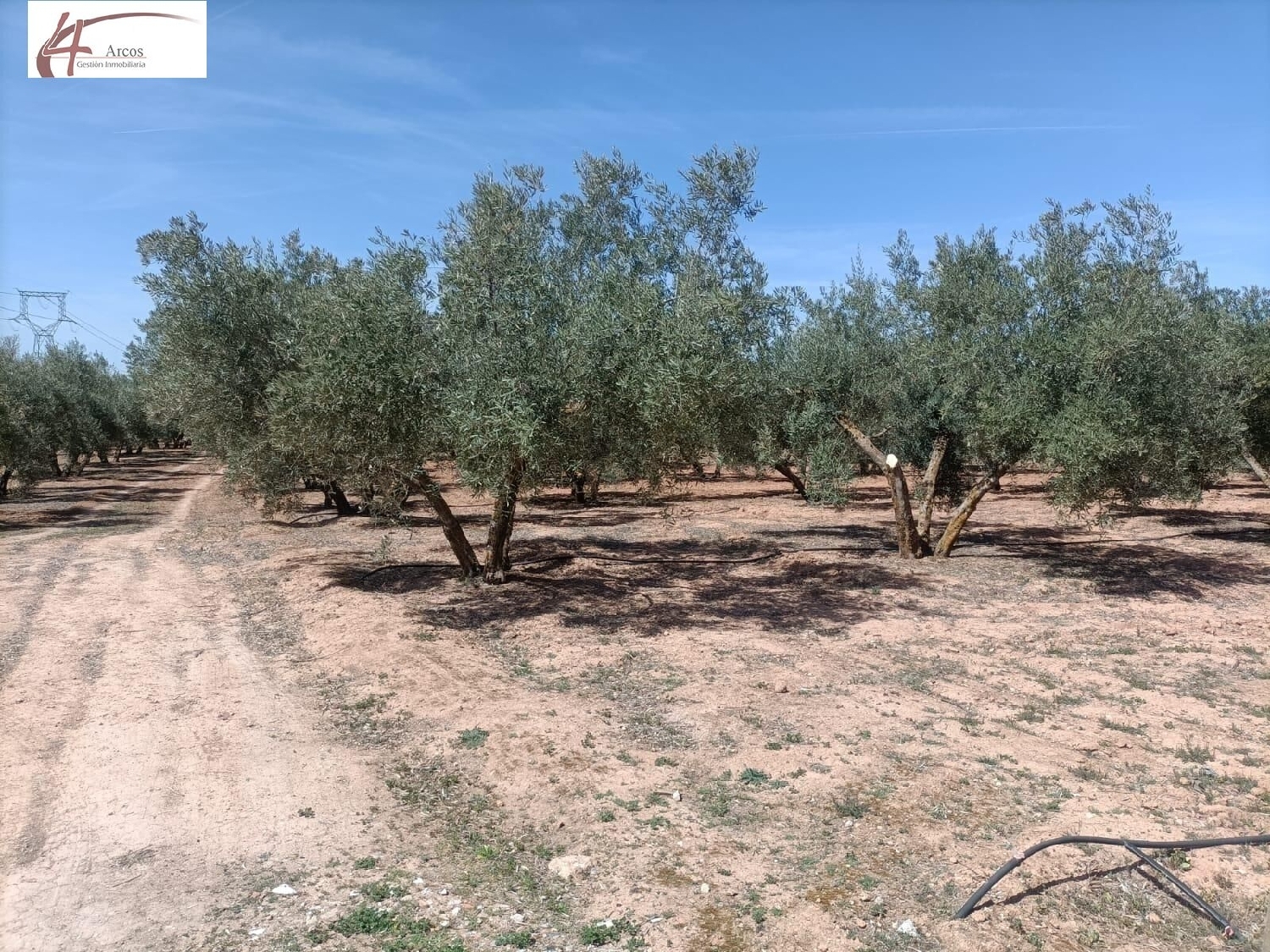 en venta finca rústica Albolote Vega De Granada 6