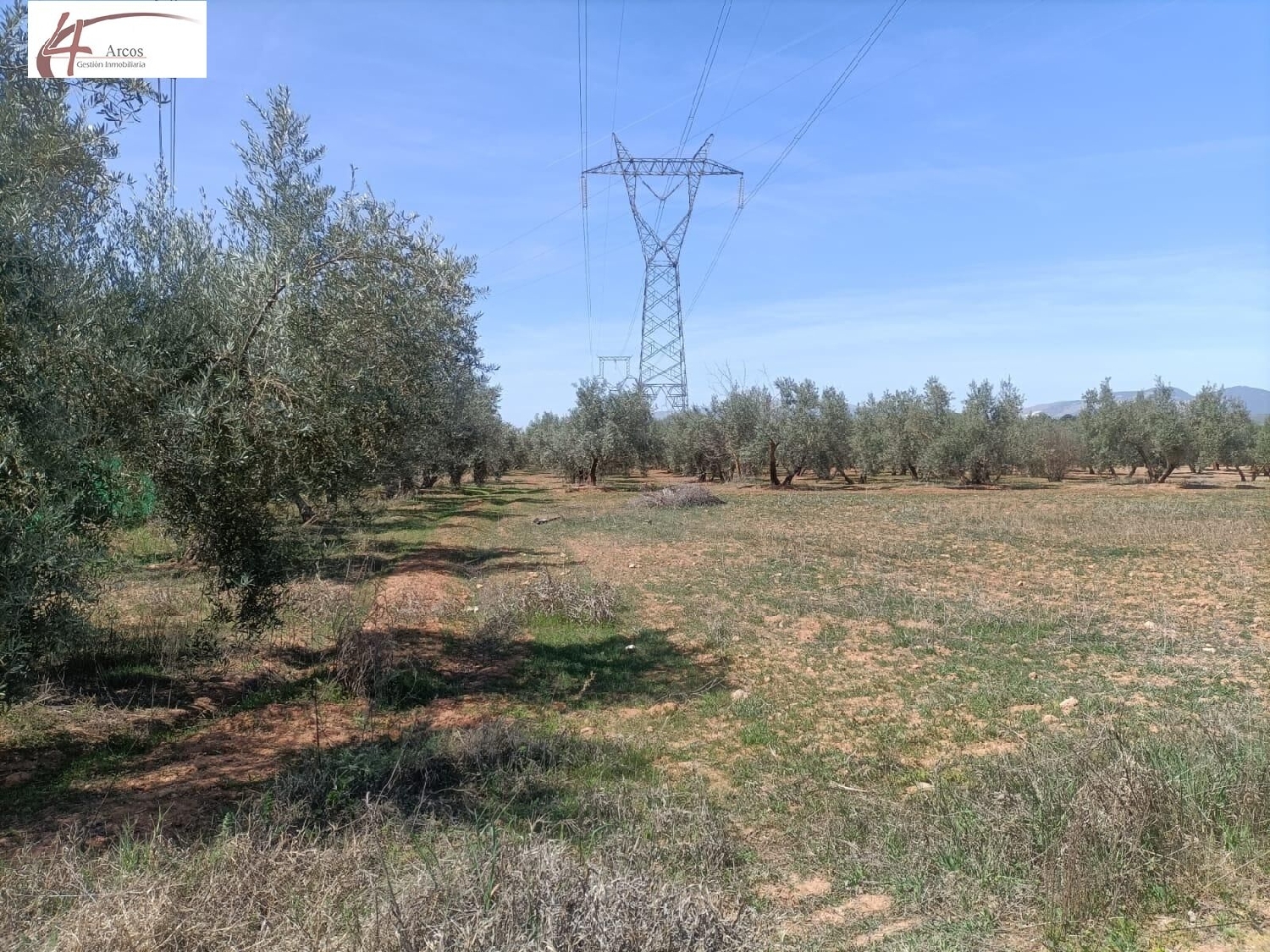 en venta finca rústica Albolote Vega De Granada 2