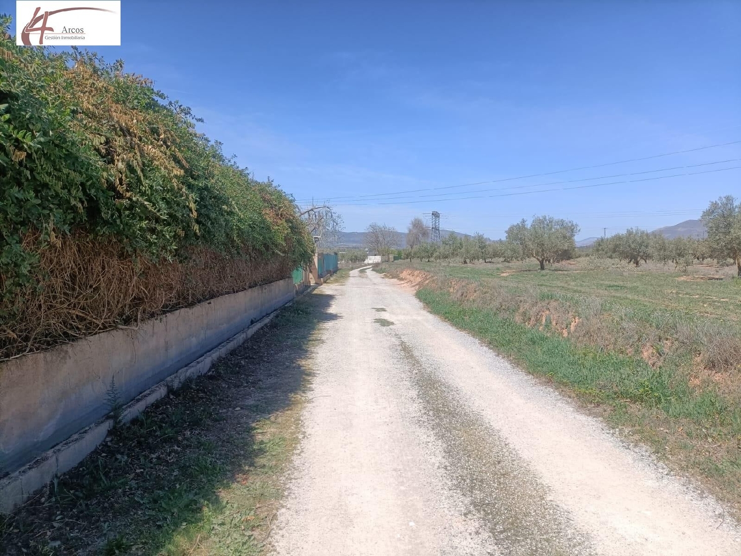 en venta finca rústica Albolote Vega De Granada 7