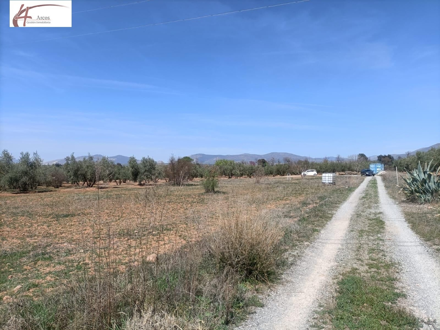 en venta finca rústica Albolote Vega De Granada 3