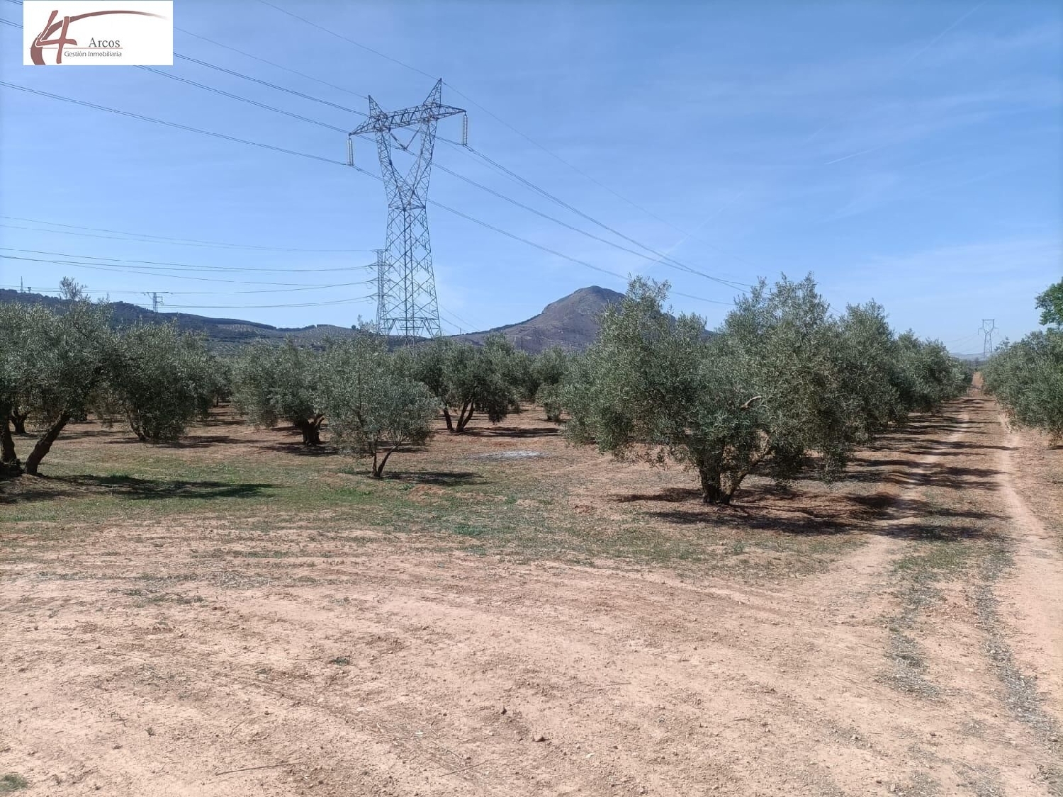 en venta finca rústica Albolote Vega De Granada 4