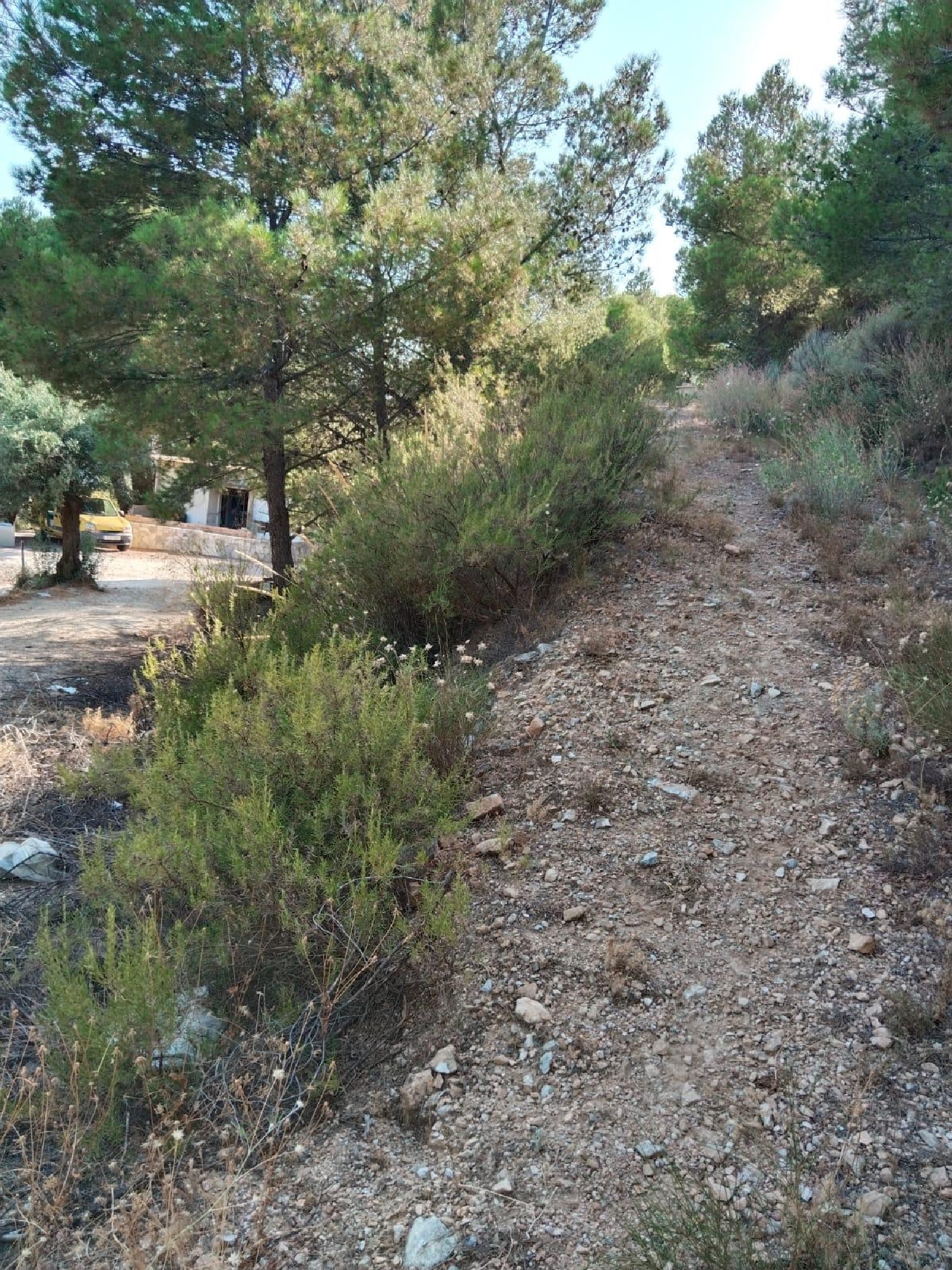 à vendre maison de campagne Alozaina Sierra De Las Nieves 8