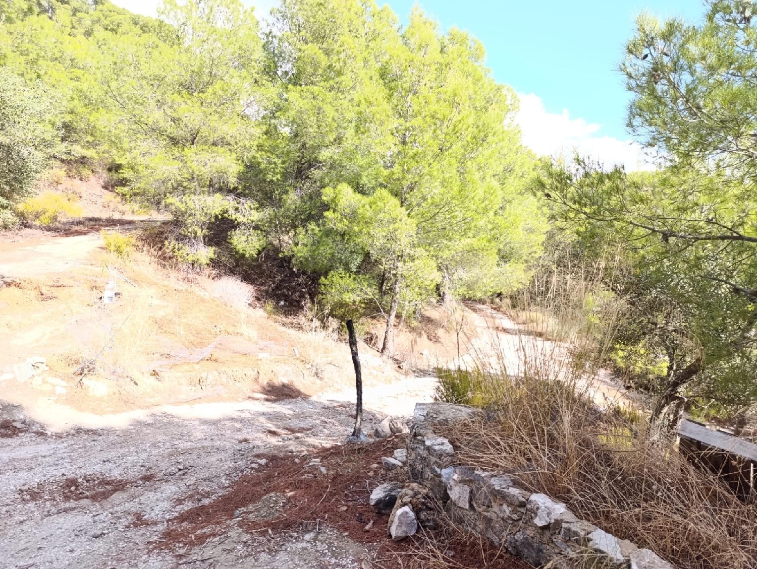 à vendre maison de campagne Alozaina Sierra De Las Nieves 3