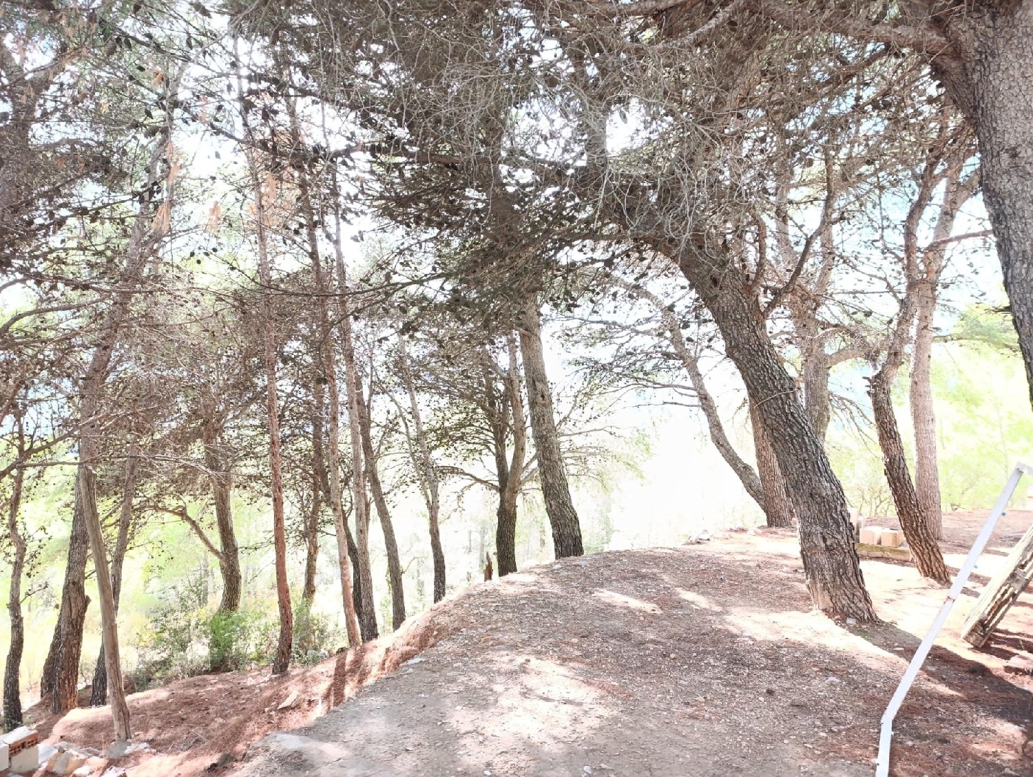 à vendre maison de campagne Alozaina Sierra De Las Nieves 4