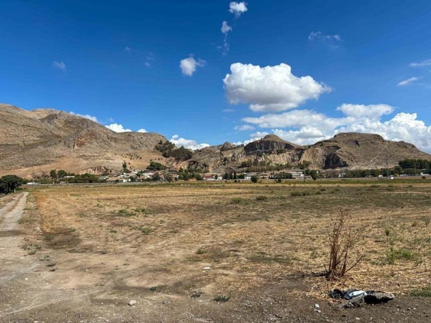  en venta finca rústica Atarfe Vega De Granada 6