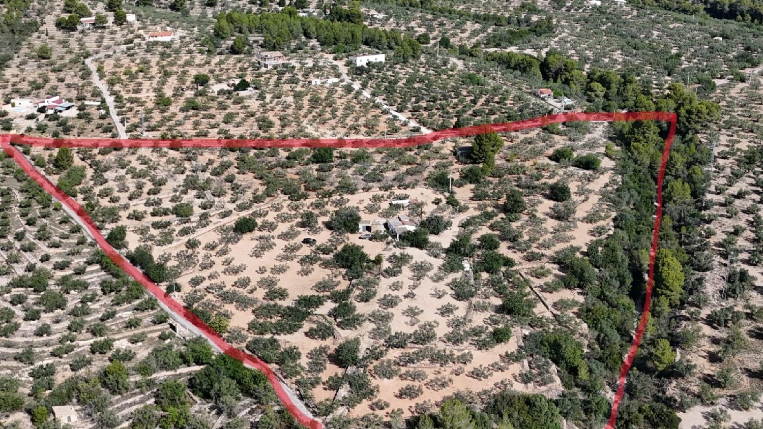  te koop boerderij Camarles Baix Ebre 3