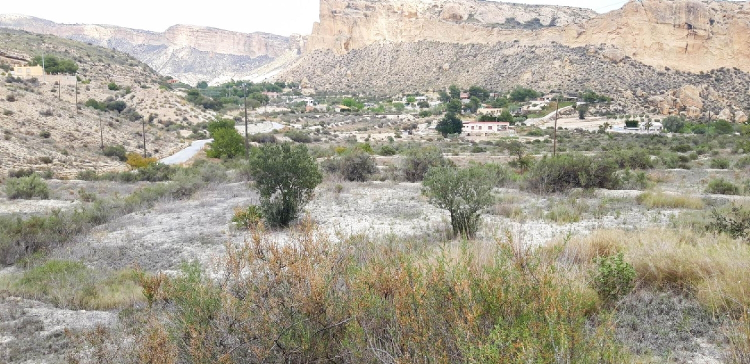  kaufen Landhaus Crevillent Baix Vinalopó 5