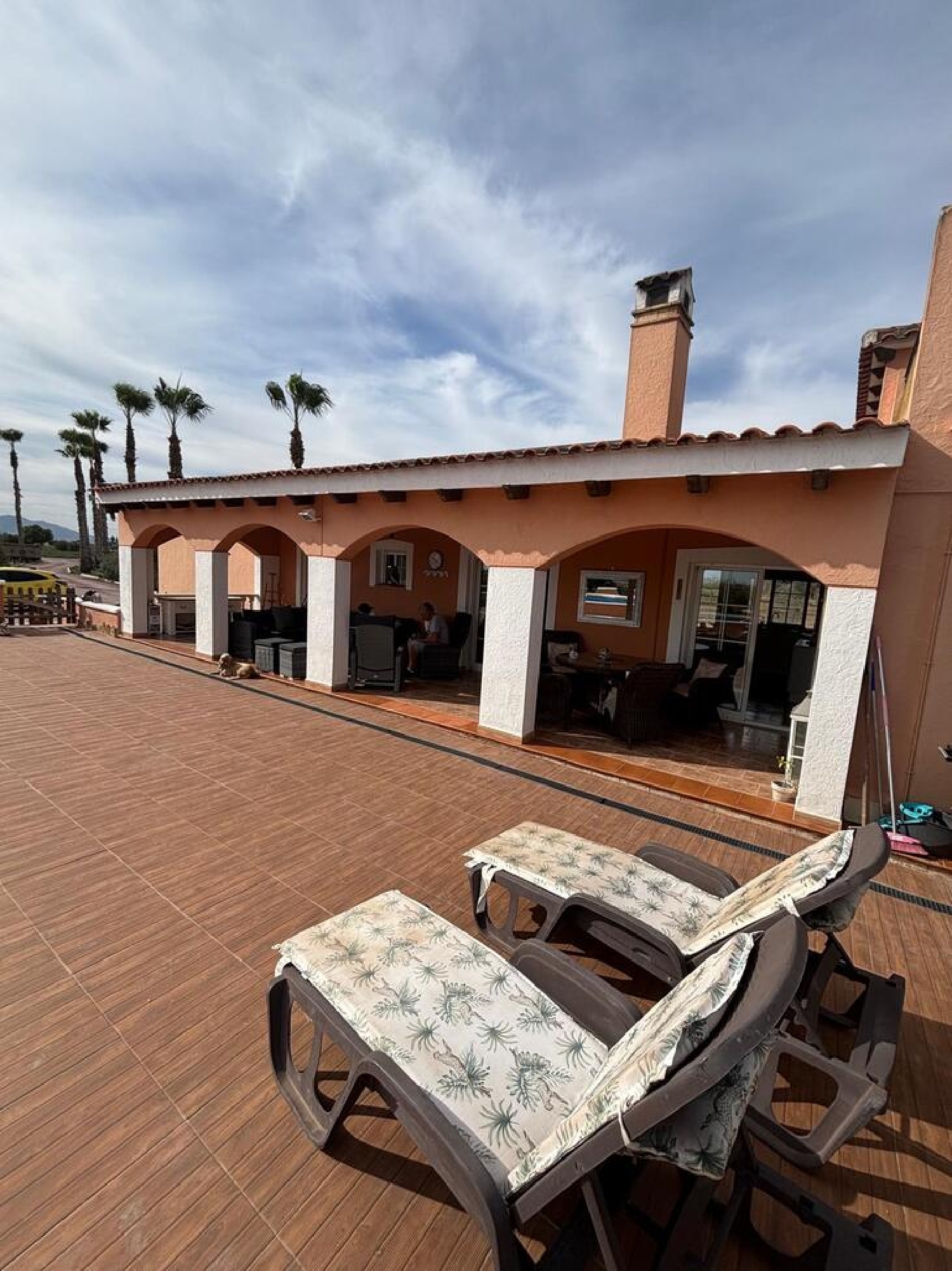  en venta finca rústica Dolores Baix Segura 1