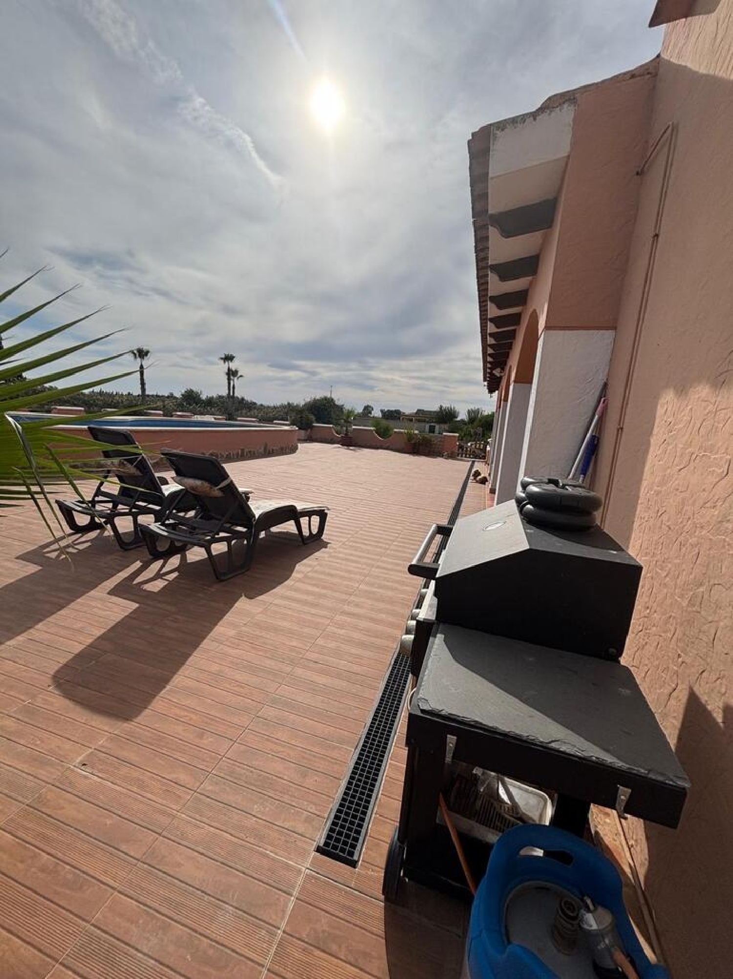  en venta finca rústica Dolores Baix Segura 8