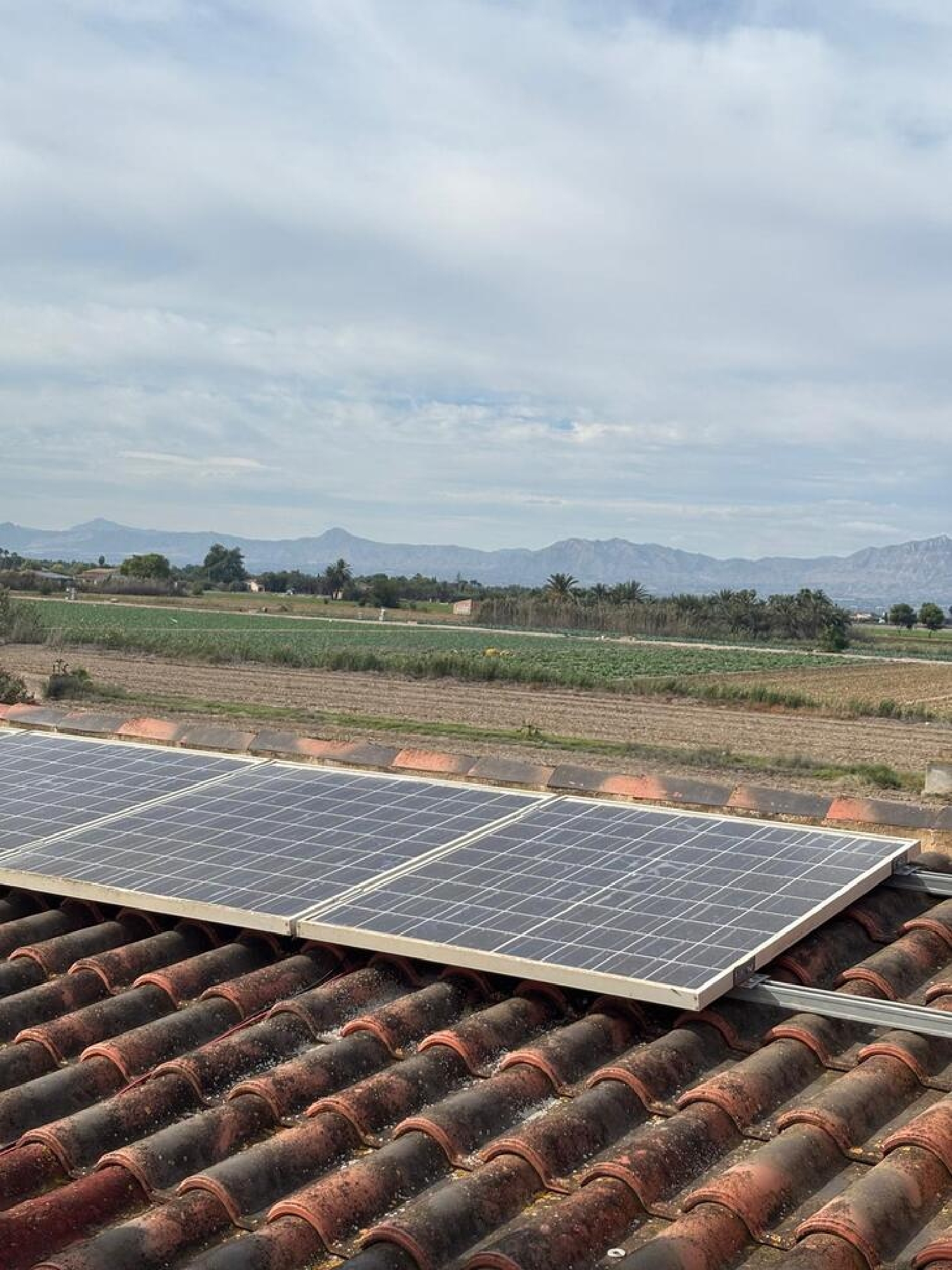  en venta finca rústica Dolores Baix Segura 7