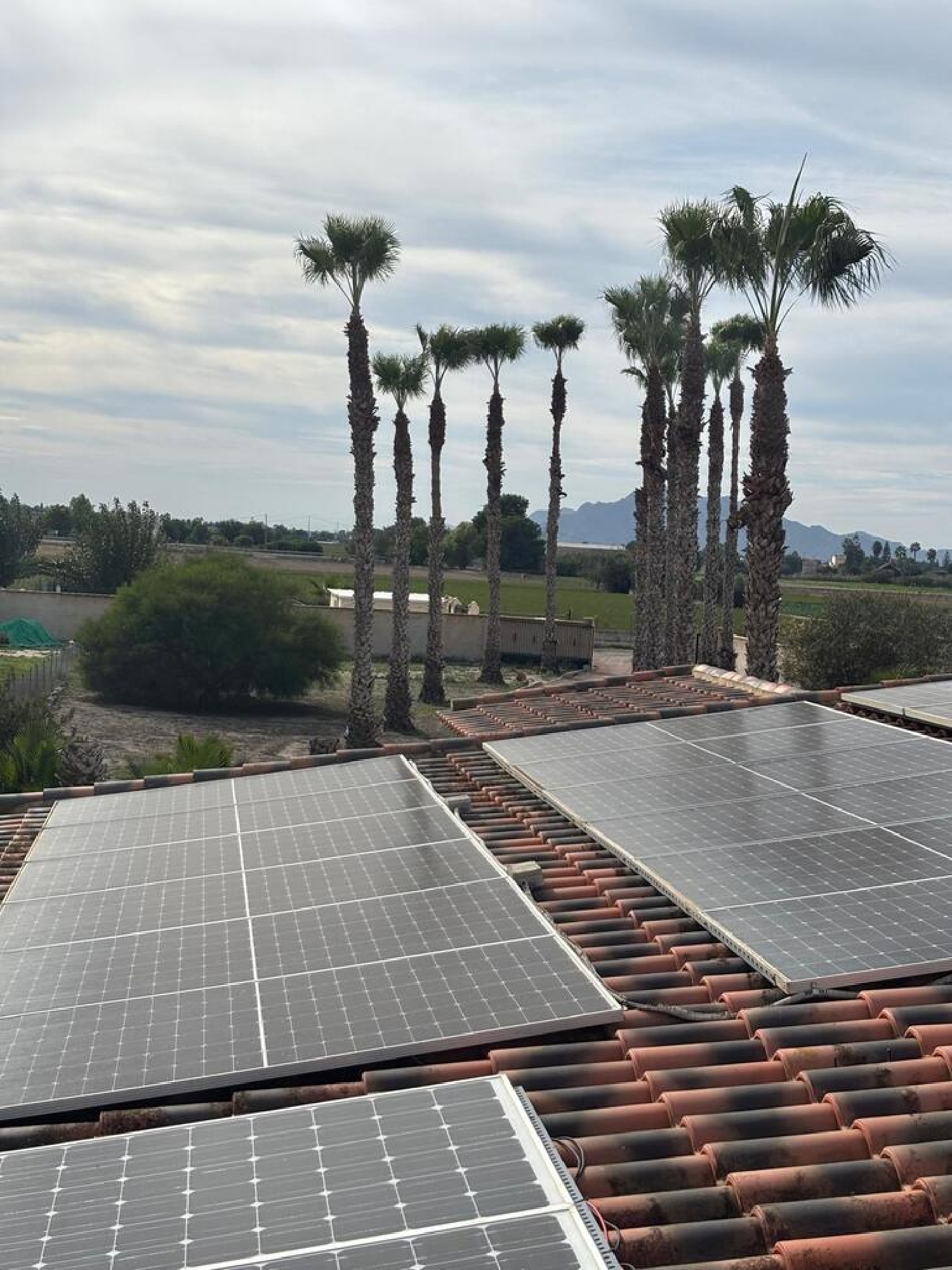  en venta finca rústica Dolores Baix Segura 6