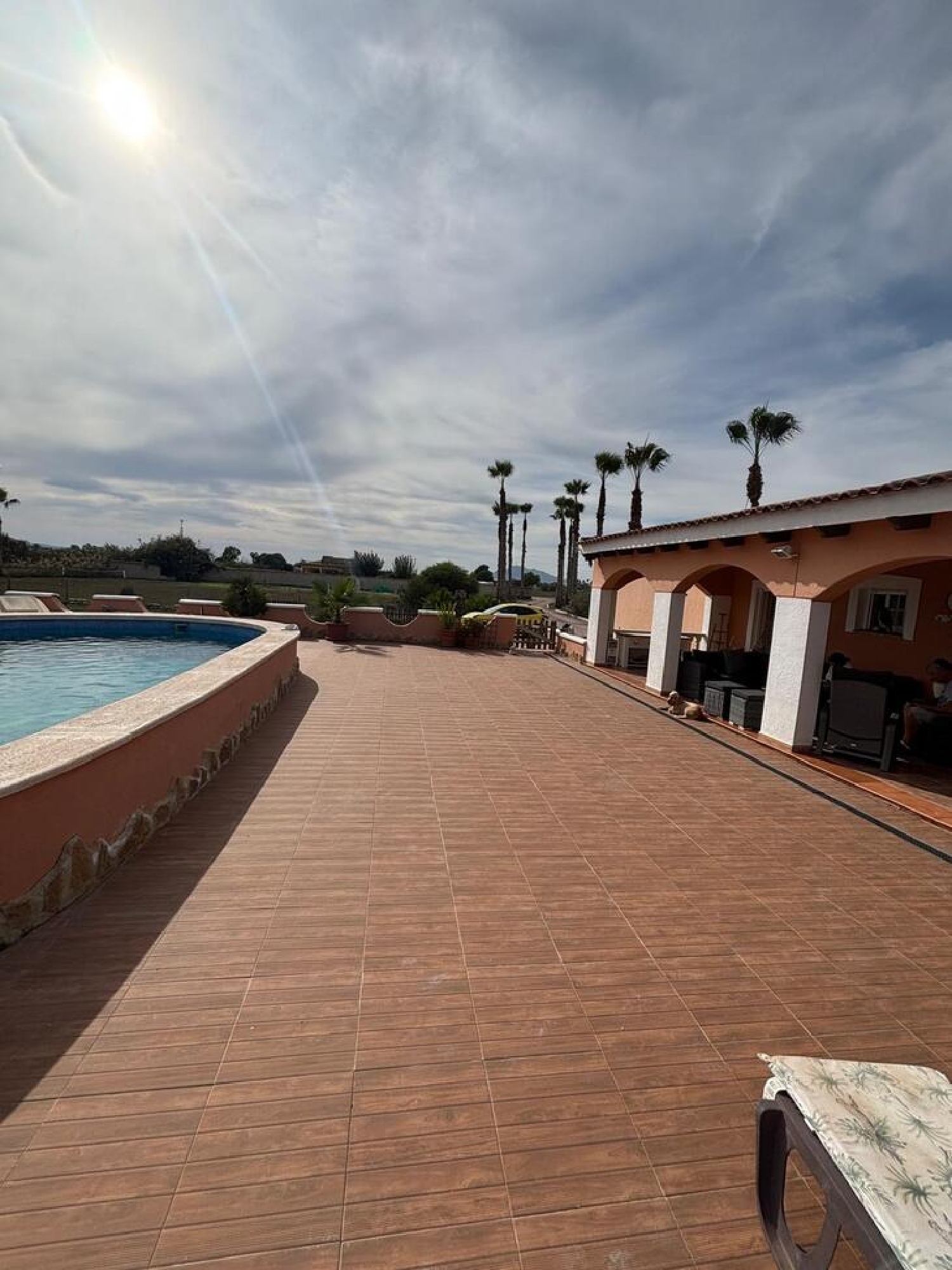  en venta finca rústica Dolores Baix Segura 3