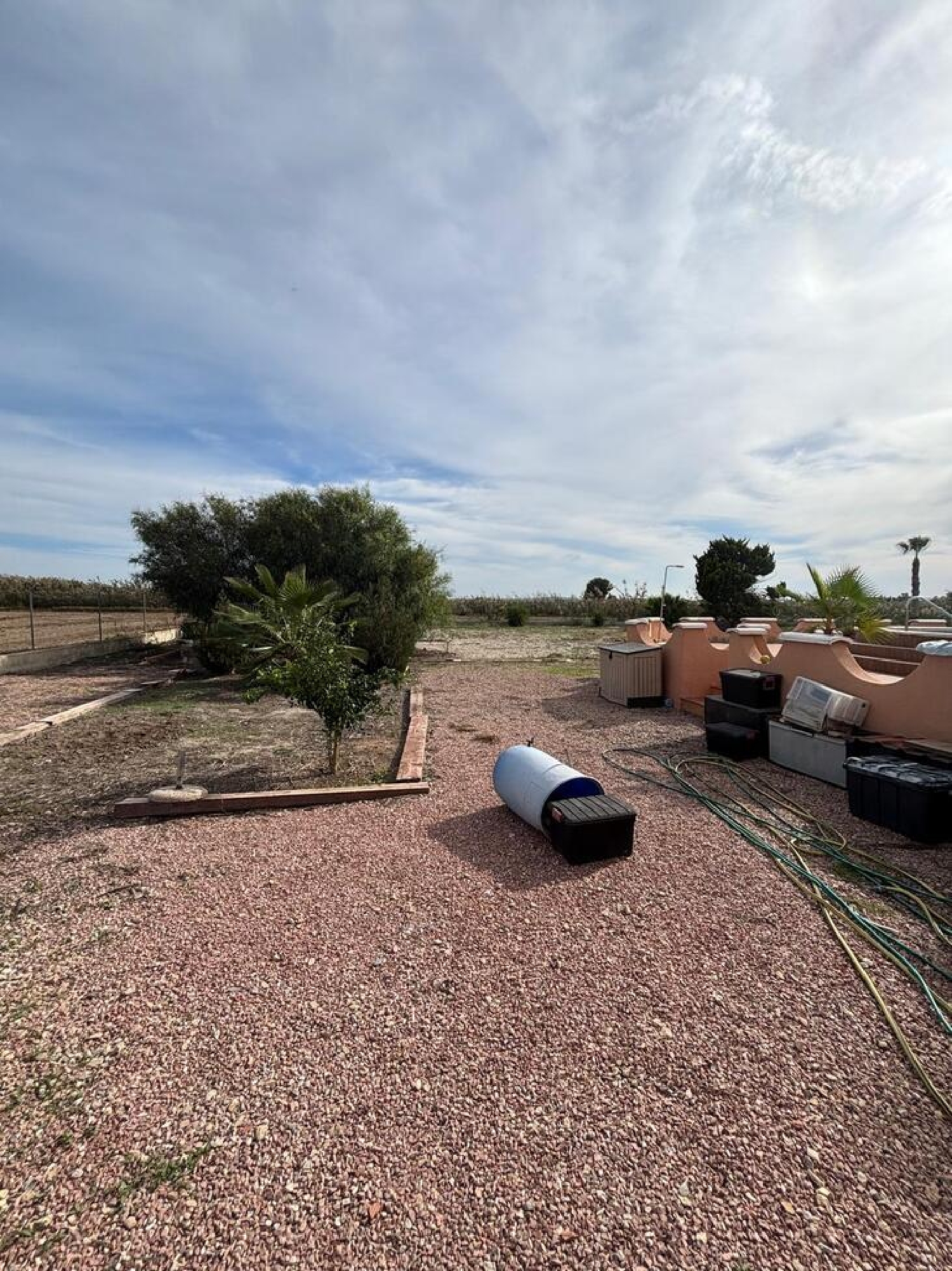  en venta finca rústica Dolores Baix Segura 5