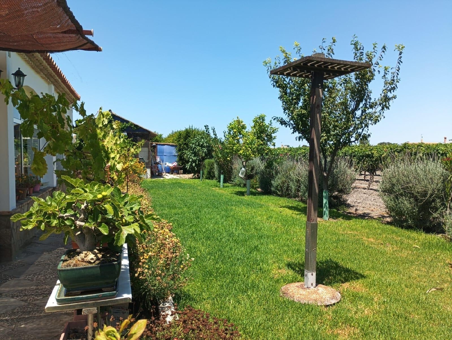 kaufen Landhaus El Puerto De Santa Maria Bahía De Cádiz 5