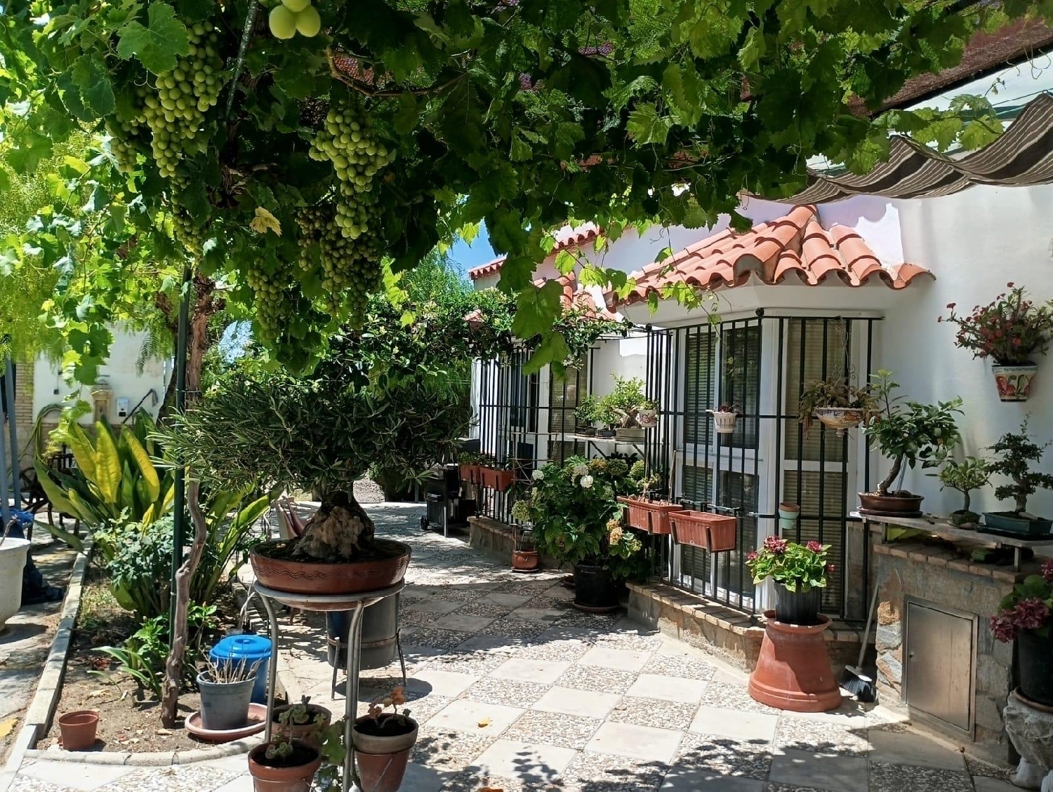 kaufen Landhaus El Puerto De Santa Maria Bahía De Cádiz 2