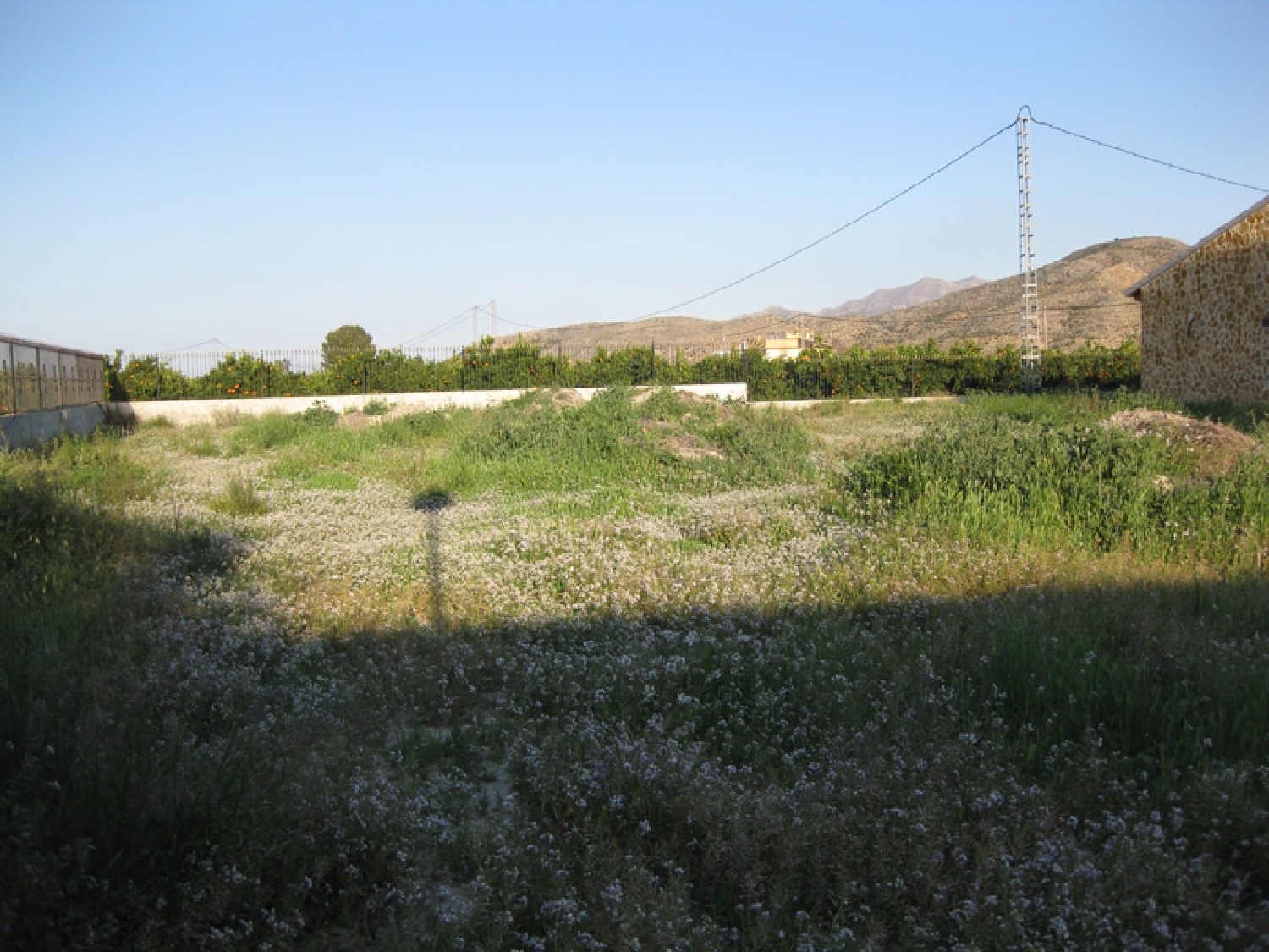  te koop boerderij Granja De Rocamora Baix Segura 7