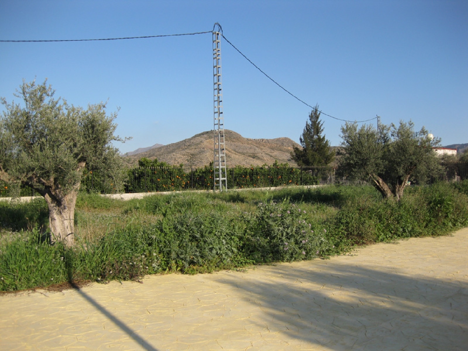  te koop boerderij Granja De Rocamora Baix Segura 2