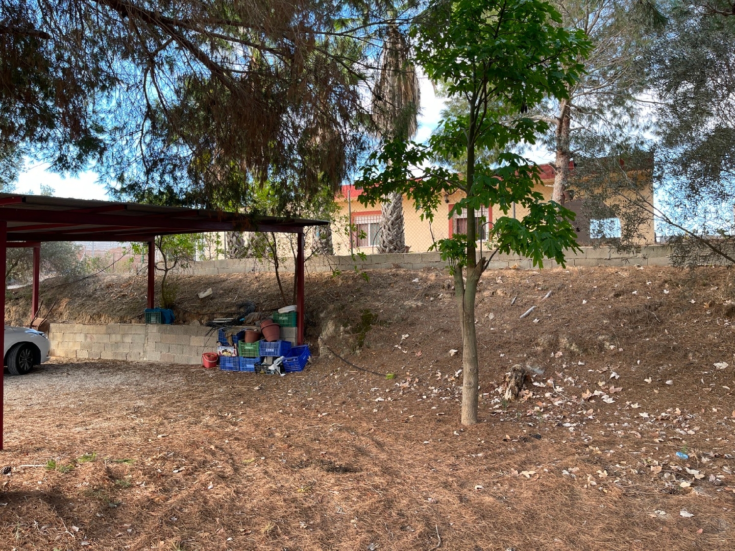 te koop boerderij Jacarilla Baix Segura 7