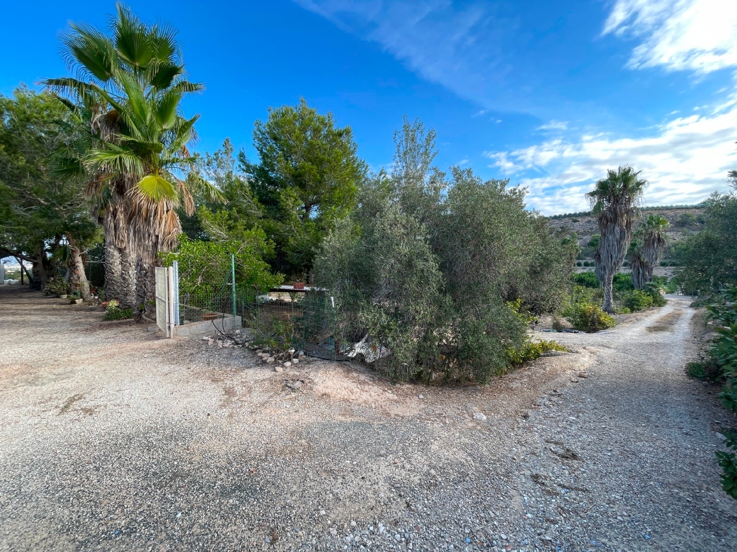 te koop boerderij Jacarilla Baix Segura 3