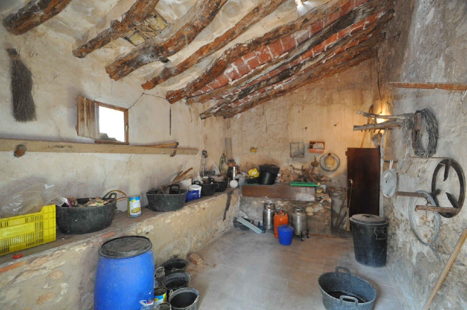  en venta finca rústica Jumilla Altiplano 7