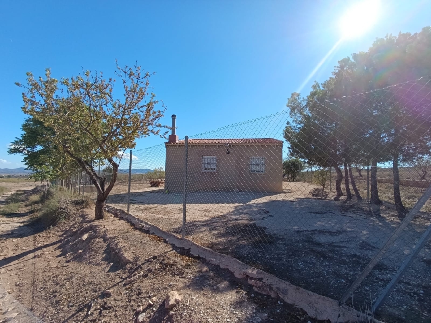  en venta finca rústica Jumilla Altiplano 1