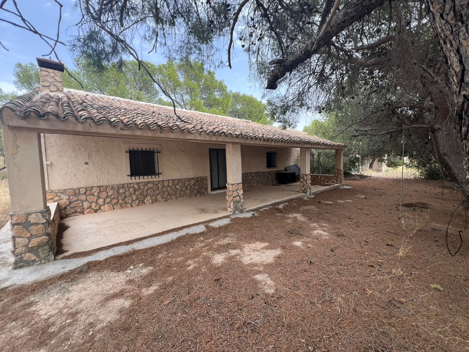  en venta finca rústica Jumilla Altiplano 3