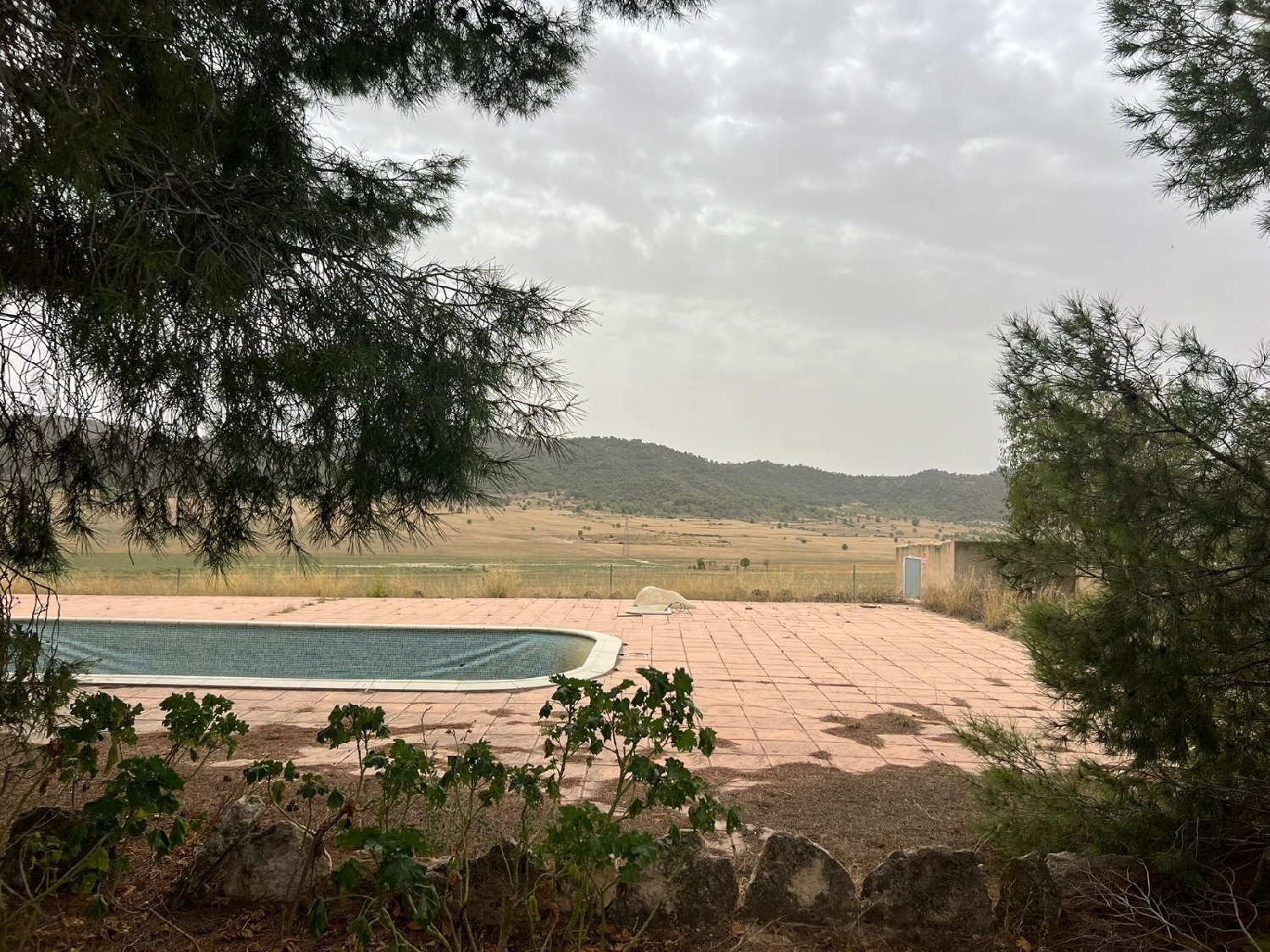  en venta finca rústica Jumilla Altiplano 5