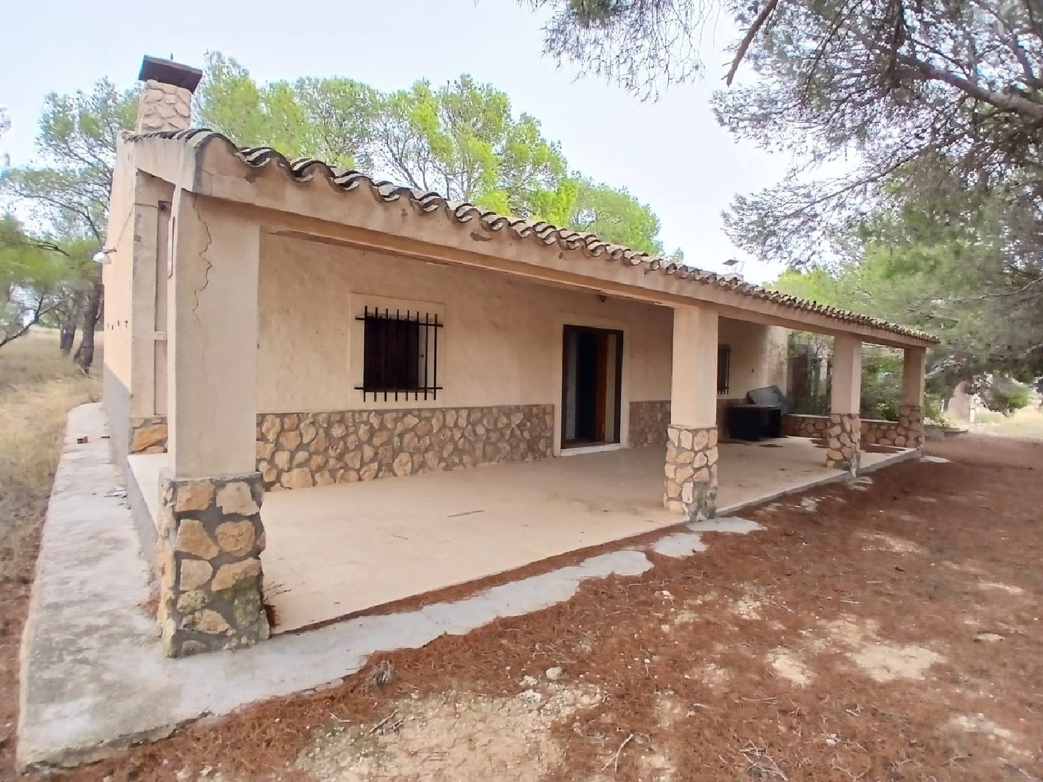  en venta finca rústica Jumilla Altiplano 2