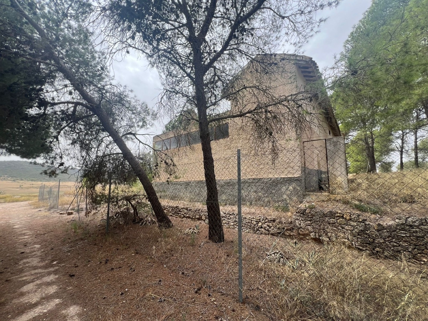  en venta finca rústica Jumilla Altiplano 8