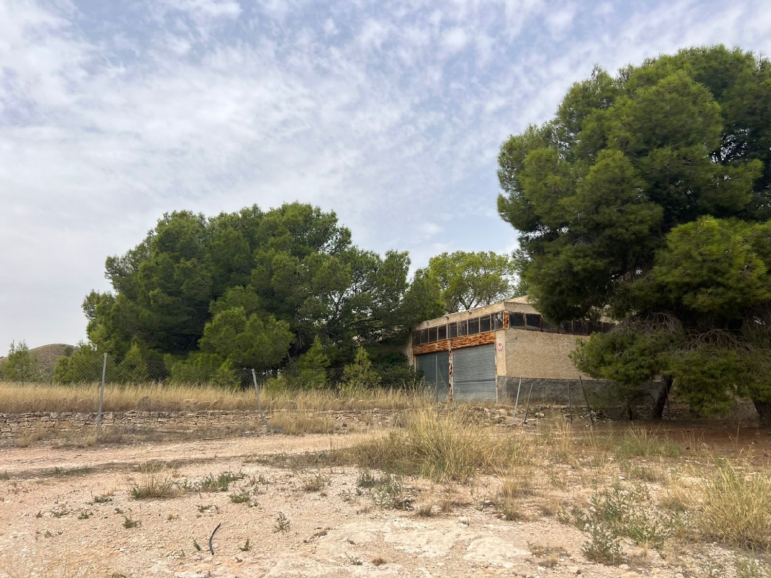  en venta finca rústica Jumilla Altiplano 7