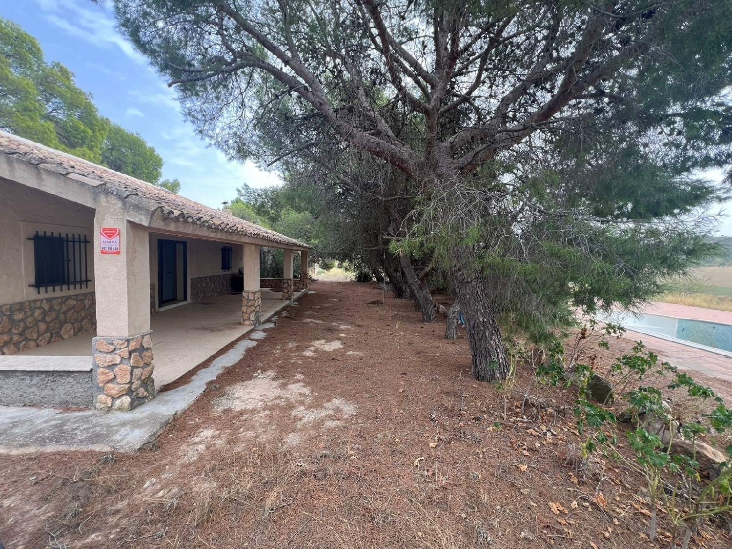  en venta finca rústica Jumilla Altiplano 4
