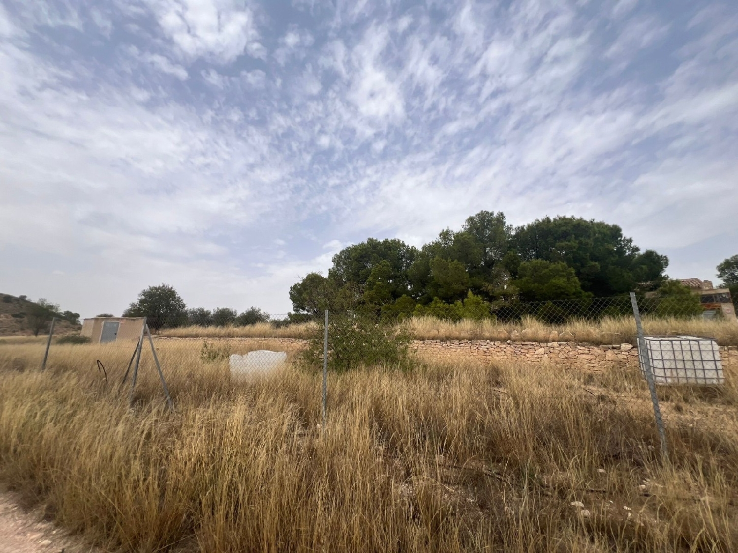  en venta finca rústica Jumilla Altiplano 6