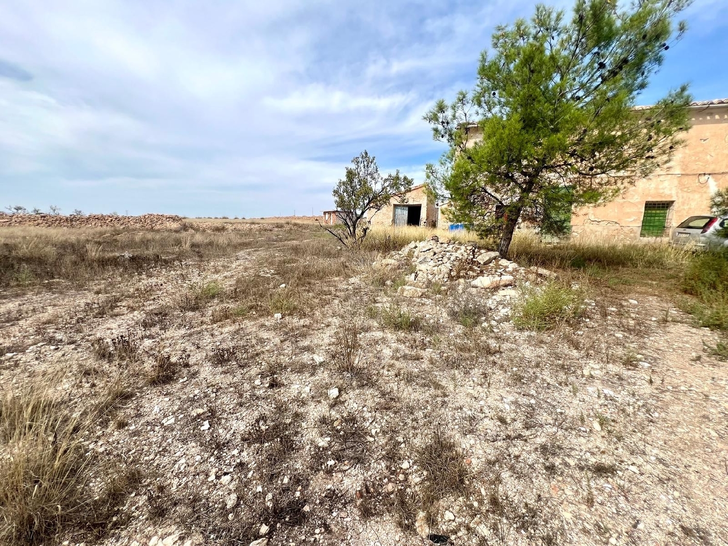 en venta finca rústica Jumilla Altiplano 6